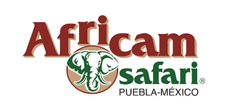 logo_cliente_04.jpg